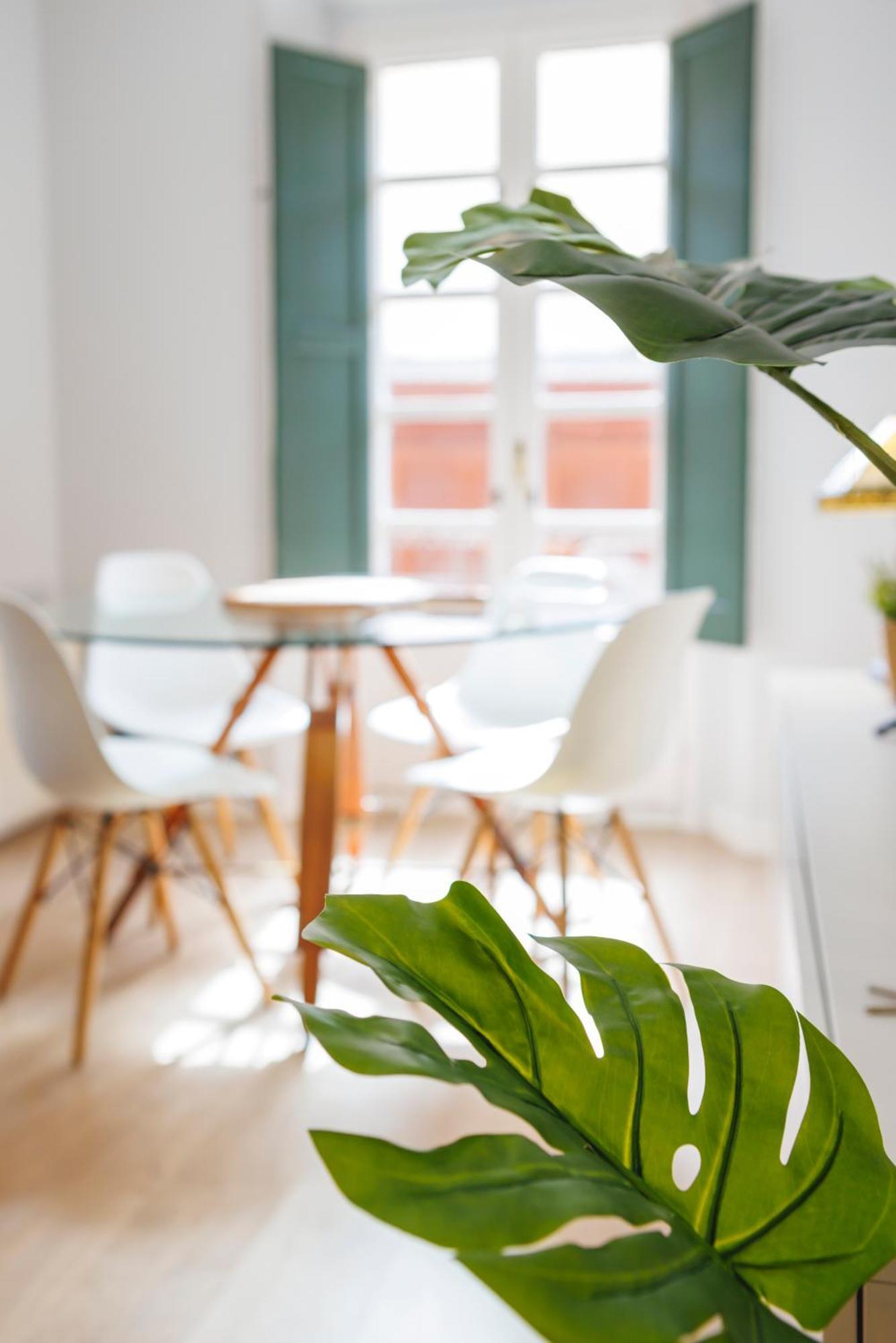 Bravissimo Apartaments Mora 4 ジローナ エクステリア 写真